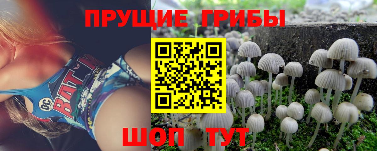 Галлюциногенные грибы GOLDEN TEACHER  Вход с VPN  Будённовск  Галлюциногенные грибы ЛСД 